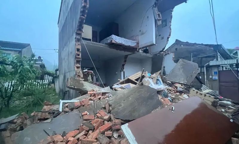 航路废墟中的树人—一段不为人知的传奇