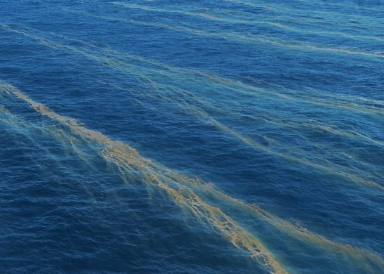 死海红色粉末｜逆向潮汐的秘密，你了解多少？