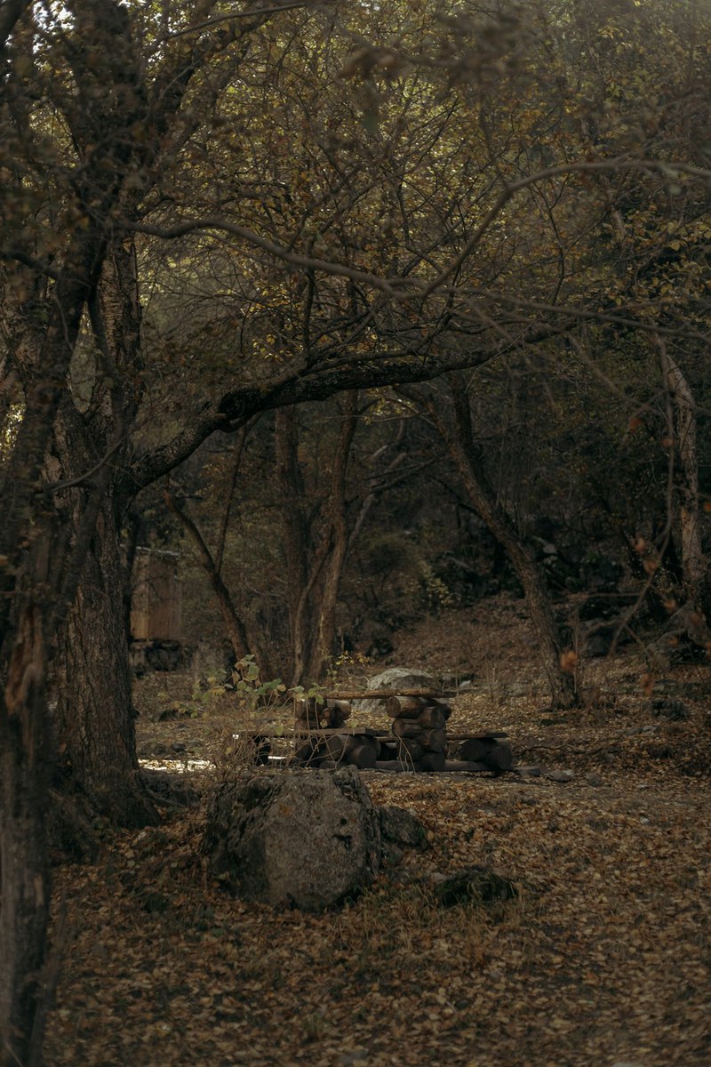 废墟中的守墓者·火蜥的传说