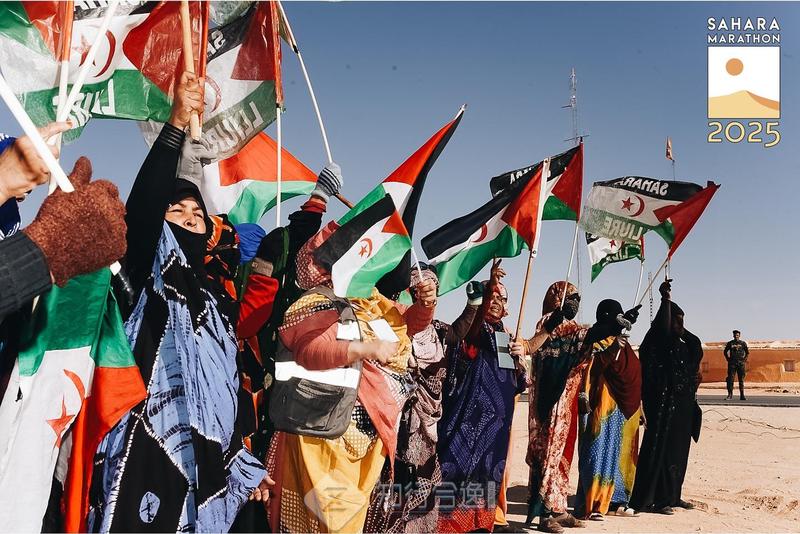 撒哈拉人马｜沙漠中的神秘灾厄