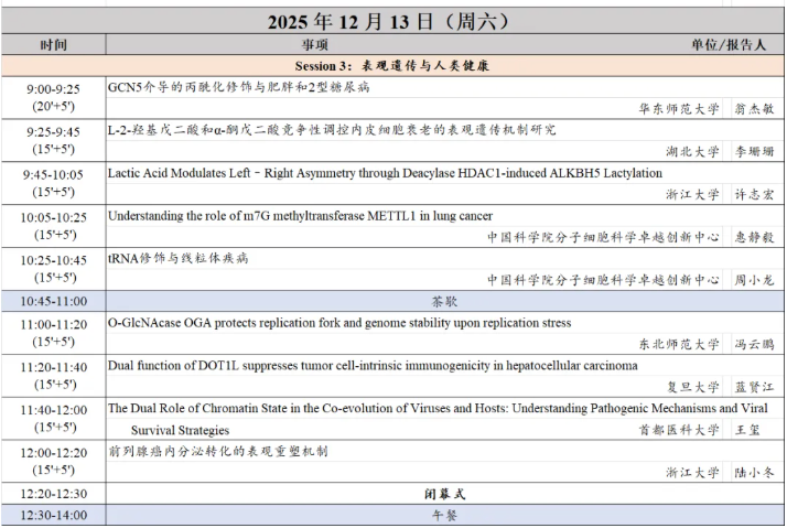 那个在墨西哥城跳蚤市场淘来的“阿兹特克残影怀表”？