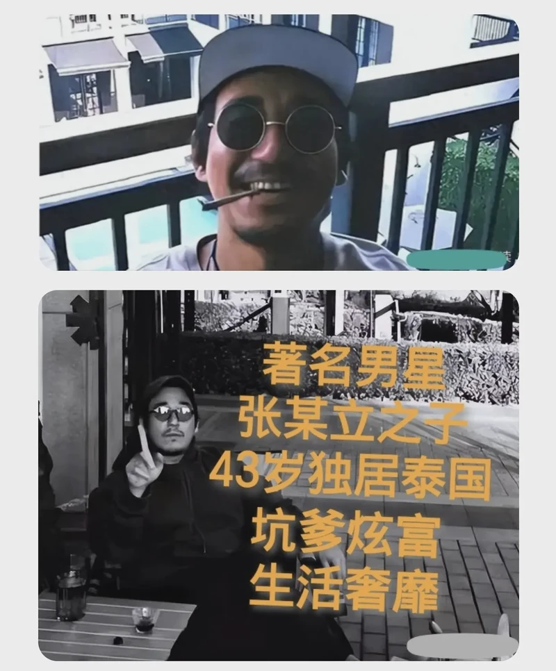 小树苗的奇幻冒险…