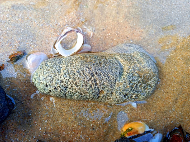 深海之谜丨漂浮巨石下的石质头骨，是海洋的奇迹还是古老文明的遗迹？