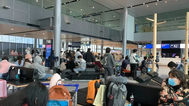 瑞士的云层之上丨航班19的意外逃离