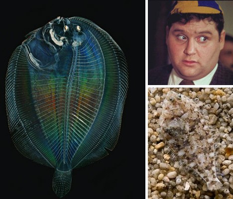 波斯密洞与透明立方丨一场科技与自然的奇妙相遇