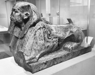 北美灾厄斯芬克斯丨一场与时间赛跑的自然探险