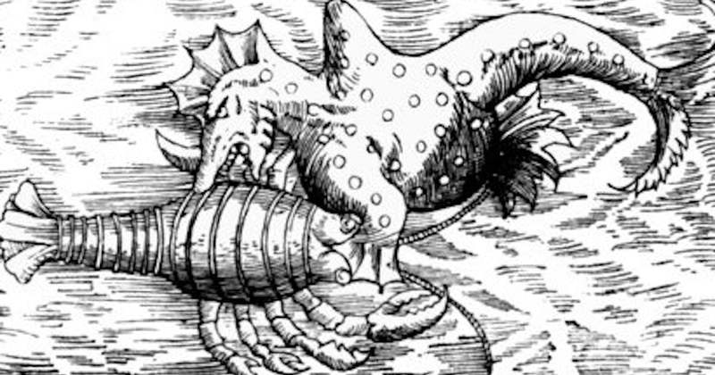 北欧航海独角兽：在浪尖上跳舞的神秘传说