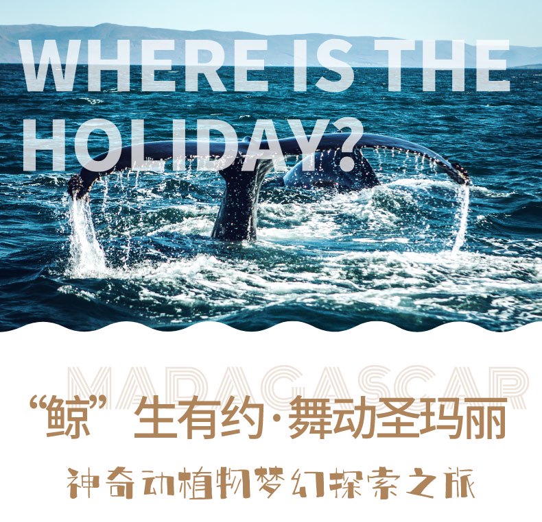 航班19号没有起飞，但改变了我的一生