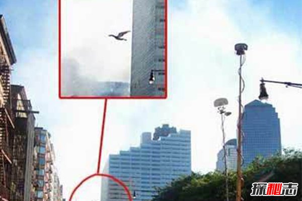 佛罗里达的深夜惊魂丨那个不该出现在迈阿密的天蛾人传说