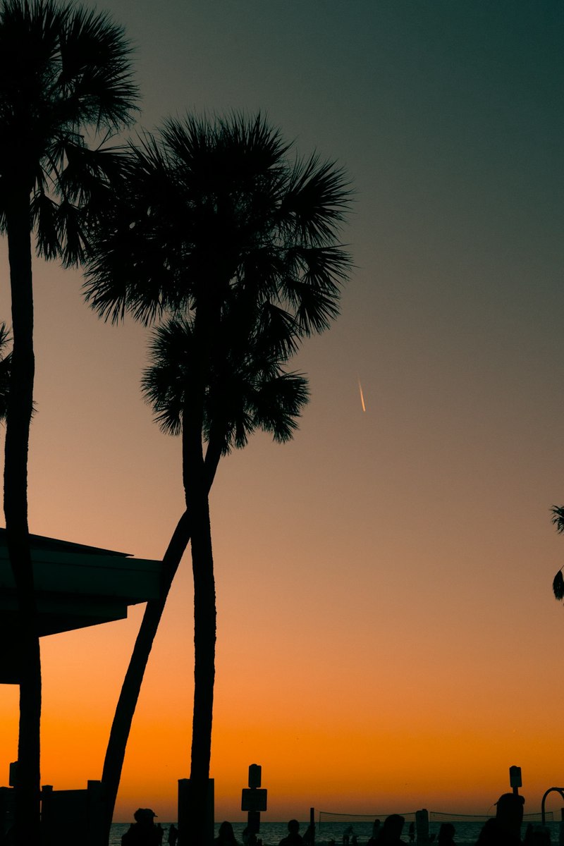 佛罗里达的外星协议·一个未解之谜的始末