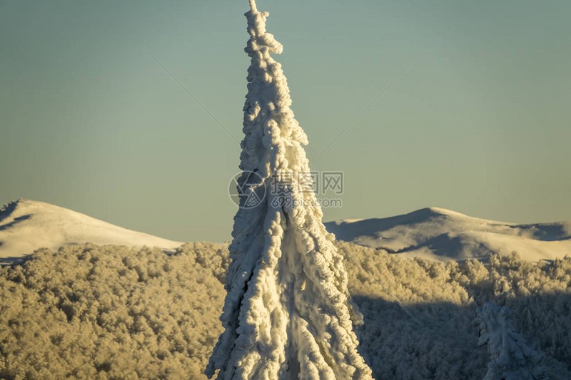 喀尔巴阡失落梦魇｜当历史成为沉默的墓碑