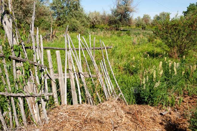 撒哈拉山灵荒芜—一片无垠的寂静与生命奇迹