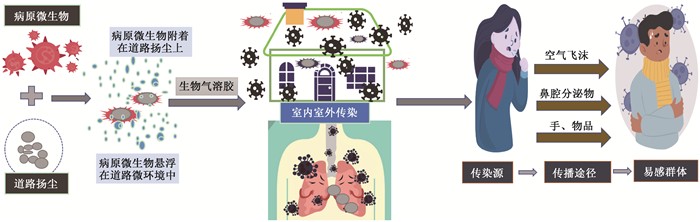 雷暴球印加遗址神秘孢子—印加人的秘密武器？