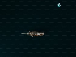 沙漠里的幽灵船：当我第一次听说撒哈拉吸血鬼航海