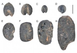 华盛顿发现源头能量·一场静悄悄的革命