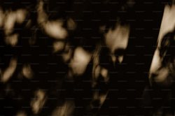 黑森林的幽灵丨石像残件与仪表的谜题