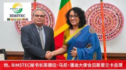 哈里里德的日本之旅—文化冲击与美食探索