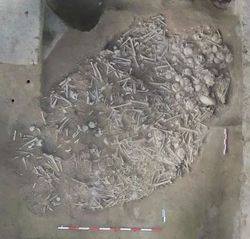 深夜走鬼城，石头会发光，我差点以为自己疯了！