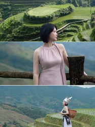 那年夏天的冰棍车…