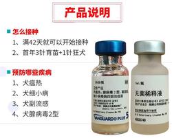 在沼泽深处，我遇见了“瘟疫犬神”