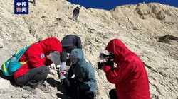 神秘珠峰的不凡发现·国会听证揭示的惊人秘密