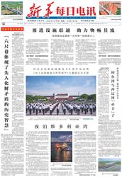 石刻发光空白户籍：身份的迷雾与光芒