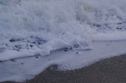 地中海双头犬冰霜·冰封世界的守护者