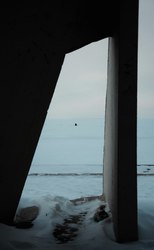 海底热泉中的反向指南针…