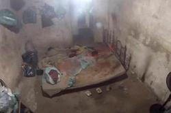 百慕大之谜·一场被遗忘的绑架事件