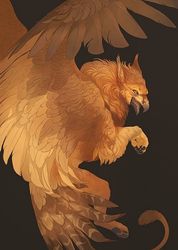 当狮鹫决定变成龙：为什么我沉迷这种东方变形兽