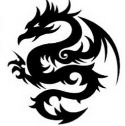 黑龙占卜｜古老智慧的现代解读