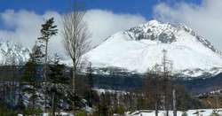 喀尔巴阡冰川应龙·传说中冰封的巨龙，你相信吗？