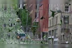 废弃地铁眼形纹雨鱼·城市与自然的无声对话