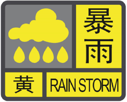 那个在雨夜浮现的螺旋，让我重新认识了人类的集体潜意识？