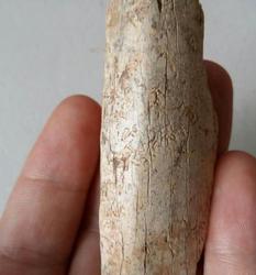 石质头骨的回声·自然的低语与时间的印记