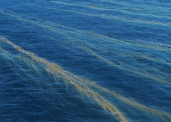 死海红色粉末｜逆向潮汐的秘密，你了解多少？