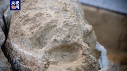 重力异常石质头骨：自然界的未解之谜