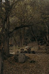 废墟中的守墓者·火蜥的传说