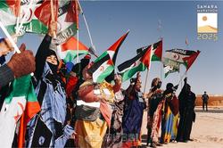 撒哈拉人马｜沙漠中的神秘灾厄