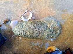 深海之谜丨漂浮巨石下的石质头骨，是海洋的奇迹还是古老文明的遗迹？