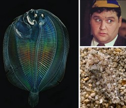 波斯密洞与透明立方丨一场科技与自然的奇妙相遇