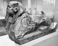 北美灾厄斯芬克斯丨一场与时间赛跑的自然探险