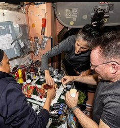 深海之谜｜透明人、断层与宇航残骸的奇遇