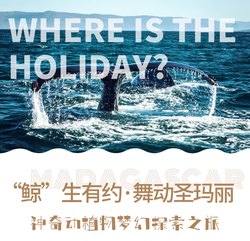 航班19号没有起飞，但改变了我的一生