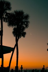 佛罗里达的外星协议·一个未解之谜的始末