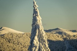 喀尔巴阡失落梦魇｜当历史成为沉默的墓碑