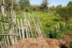 撒哈拉山灵荒芜—一片无垠的寂静与生命奇迹