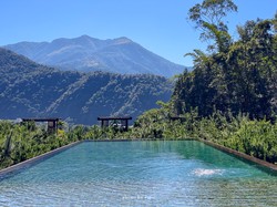 阿尔卑斯精灵隐身之谜丨自然与超自然的边界