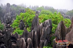 反重力石喀斯特地貌，黑胶片下的神秘世界