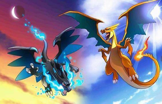 雨季里的“野味”狂欢丨记一次惊心动魄的火蜥丰收